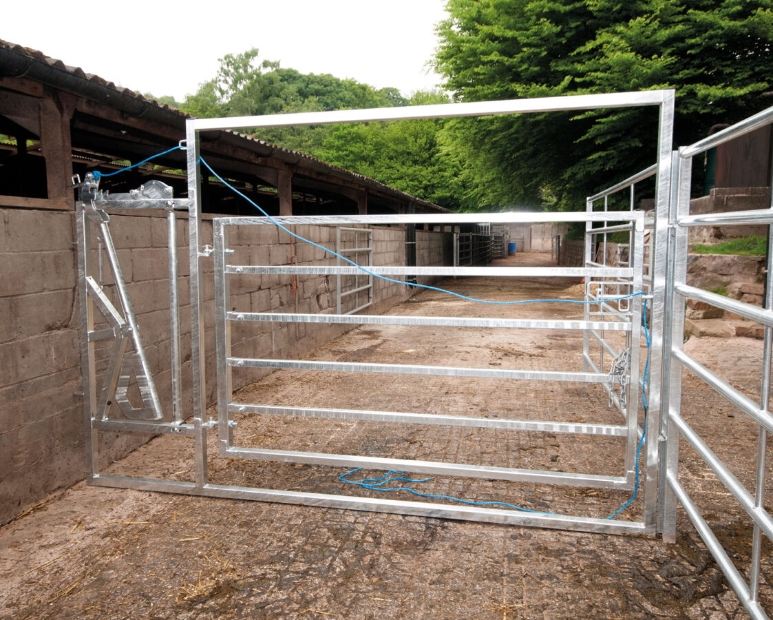 Calving hurdle image