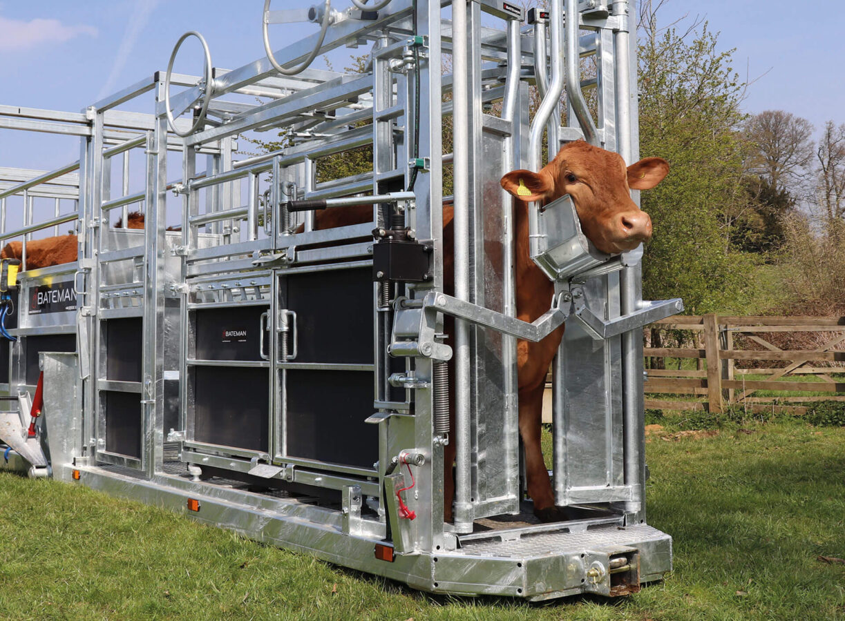 Cattle handling trailer image